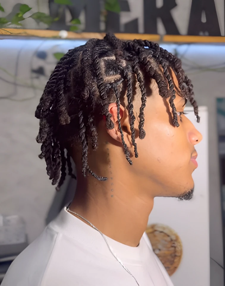 Twists